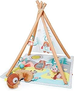 Skip Hop Camping Cubs Activity Gym - Best all-in-one play mat and gym